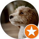 Timo Bouman profielfoto